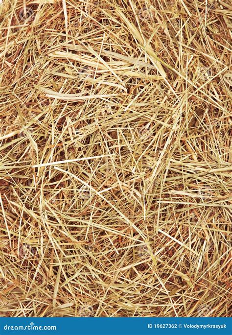 Straw texture stock photo. Image of harvest, landscape - 19627362