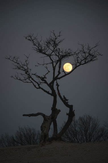 45 Fascinating Full Moon Photography Tips and Ideas - Greenorc