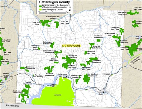 Cattaraugus County Map