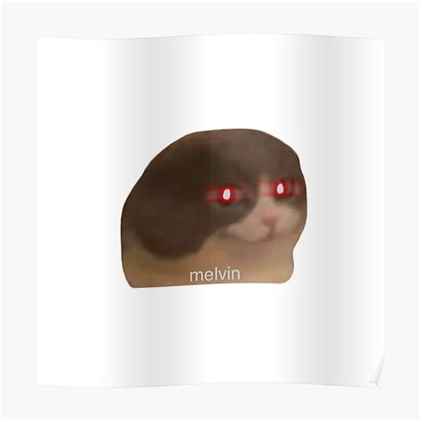 "Melvin Cat Meme" Poster by surrile | Redbubble