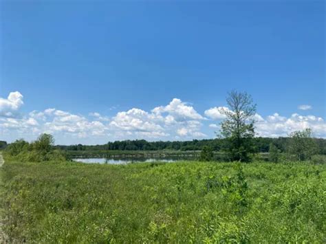 Best Hikes and Trails in Holland Landing Prairie Provincial Nature Reserve | AllTrails