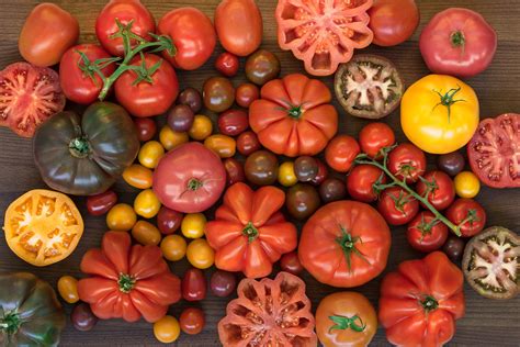 El tomate no es natural, es un tesoro creado por el ingenio humano ...