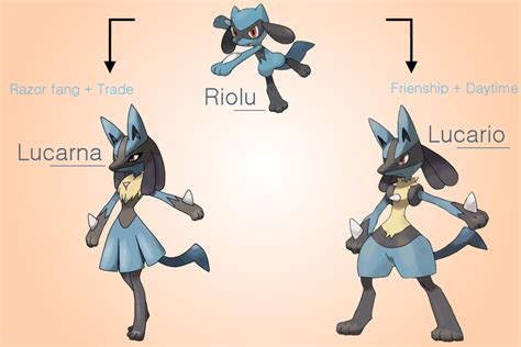 Evolve: In Which Level Does Riolu Evolve