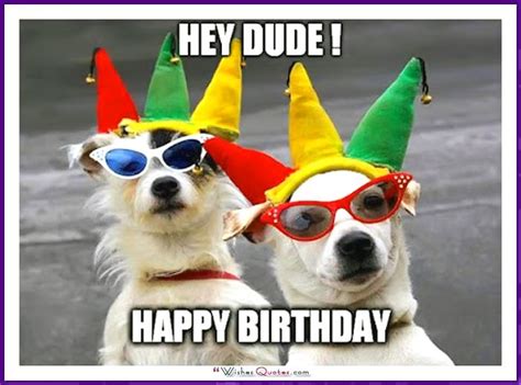 Happy Birthday Dog Birthday Quotes - ShortQuotes.cc