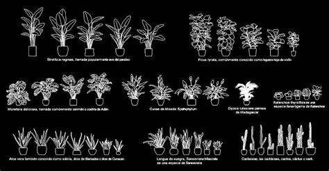 Shrubs AutoCAD File Vector CAD Drawings | lupon.gov.ph