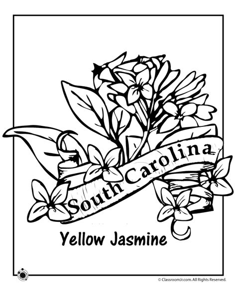 South Carolina State Flower Coloring Page | Woo! Jr. Kids Activities ...