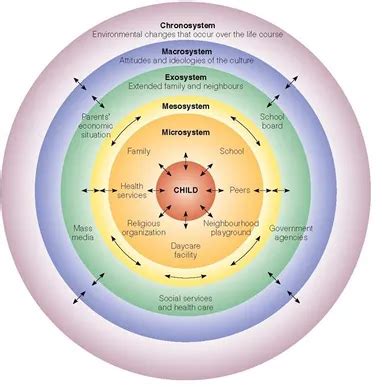 Bronfenbrenner's Macrosystem Overview Examples Video Lesson, 45% OFF