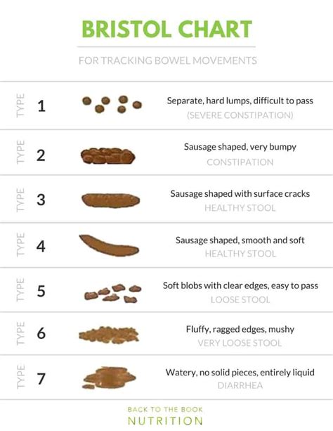 Types Of Bowel Movements Chart