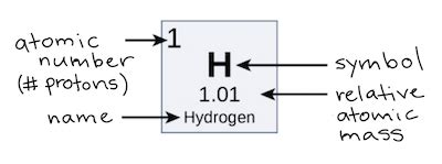 What Does the Atomic Number Represent Apex - KaelkruwHarmon