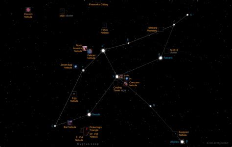 Cygnus Constellation | Star Map & Facts | Go Astronomy