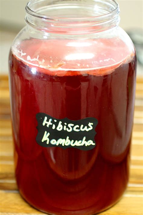 Hibiscus Tea Kombucha | Recipe | Kombucha recipe, Kombucha, Homemade kombucha