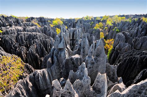 Madagascar : 5 bonnes raisons de visiter la somptueuse « île rouge » de ...