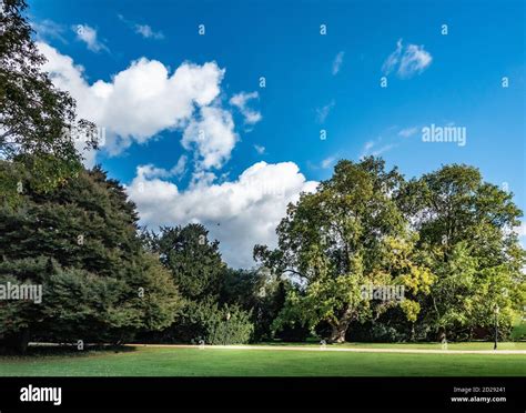 Country house garden in Yorkshire, England Stock Photo - Alamy