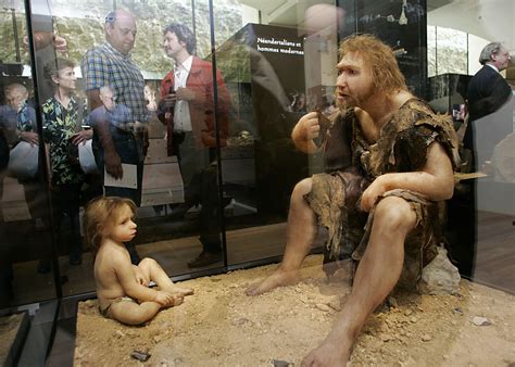 What Will Humans Look Like 10,000 Years From Now? | IBTimes