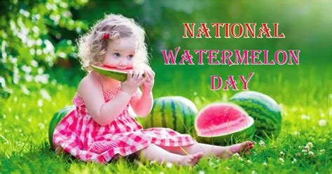 National Watermelon Day 2023: When, Why and How to Observed