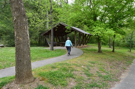 Murray Branch Picnic Area, Pisgah National Forest » Carolina Outdoors Guide