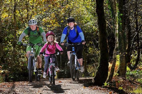 Derwen Trail - Beddgelert Forest Park, Snowdonia National ParkMountain ...