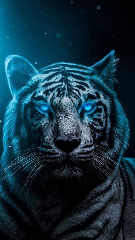 Blue eyes Tiger Wallpaper Wallpaper Download - High Resolution 4K Wallpaper