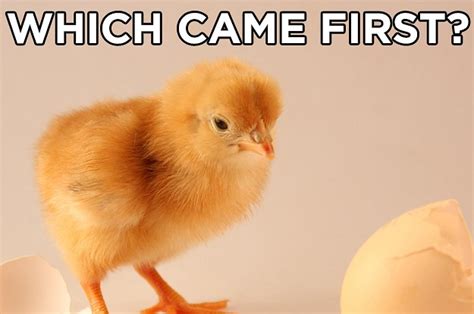 Which Came First: The Chicken Or The Egg?