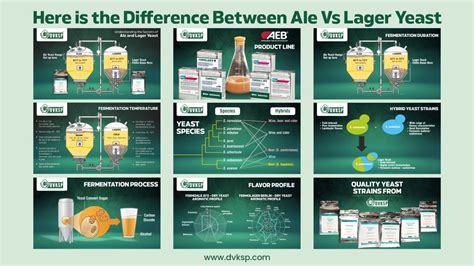 Here is the Ale vs Lager Yeast Difference explained in detail by DVKSP ...