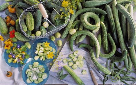 A Brief Guide to Types of Cucumbers