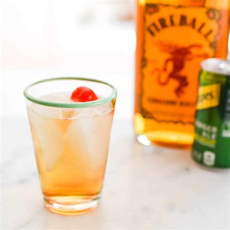 Fireball Drink Recipes Easy | Dandk Organizer