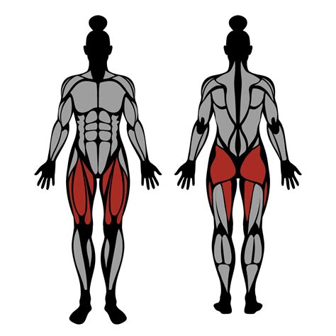 Bulgarian Split Squat: Muscles Worked & Technique – StrengthLog