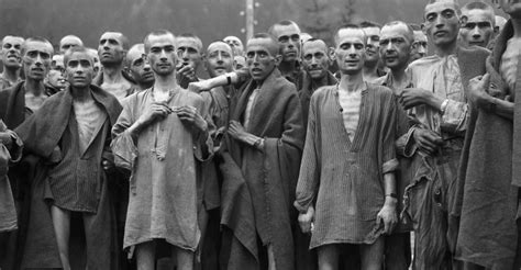 TRANSCEND MEDIA SERVICE » The Horrifying Tragedy of Holocaust