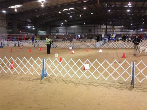 My First Dog Show - The Crossover Trainer