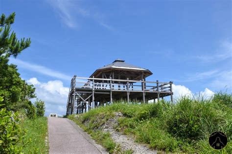 Zamami Island Japan - Discover This Heavenly Island in Okinawa!