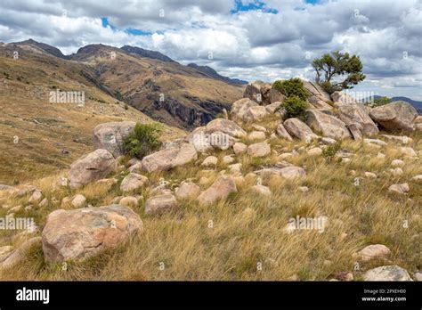 Andringitra national park, Haute Matsiatra region, Madagascar ...