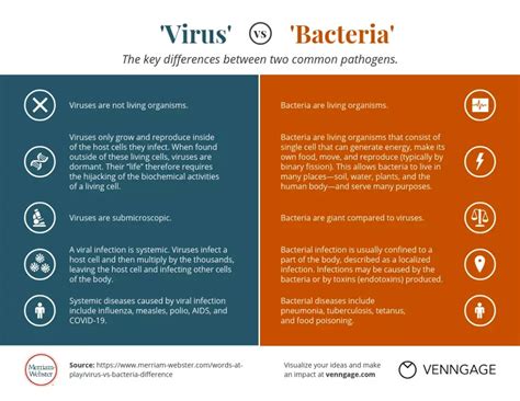 What is the difference between Viruses and Bacteria