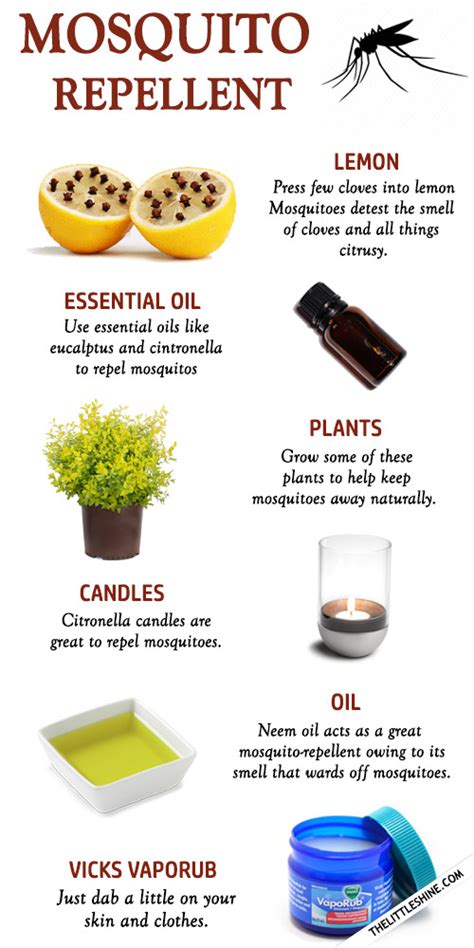 MOSQUITO REPELLENT NATURAL REMEDIES - The Little Shine