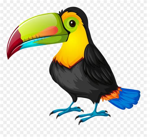 Toucan Clipart 1 Clip Art Bird - Png Download (#192803) - PinClipart