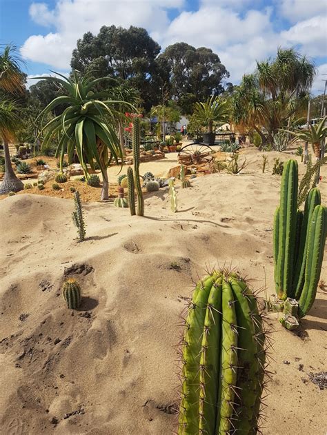 Karnup Nursery - Arid & Exotic Plants - 77 Fletcher Rd, Karnup WA 6176, Australia