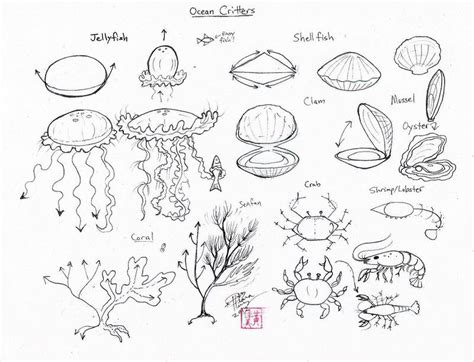 Draw More Sea Critters by Diana-Huang on DeviantArt | Art tutorials ...