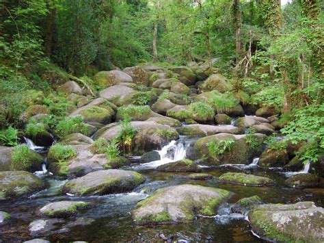 dartmoor national park - Google Search | Dartmoor national park, National parks, Dartmoor