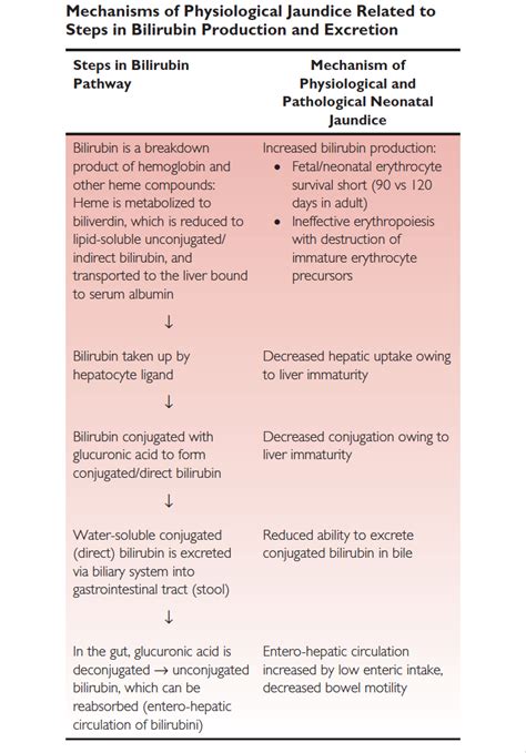 Neonatal Jaundice - Toronto Centre for Neonatal Health