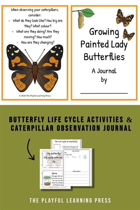 Life cycle activities and caterpillar observation journal to use whilst ...