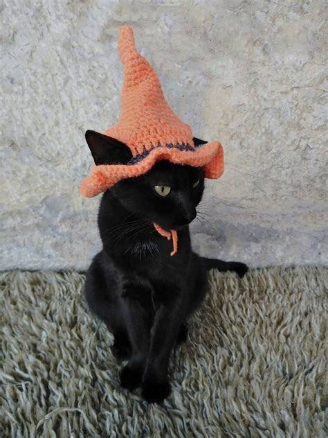 Witch Hat for Cat, Pet Costume, Cat Halloween Costume, Pet Halloween ...