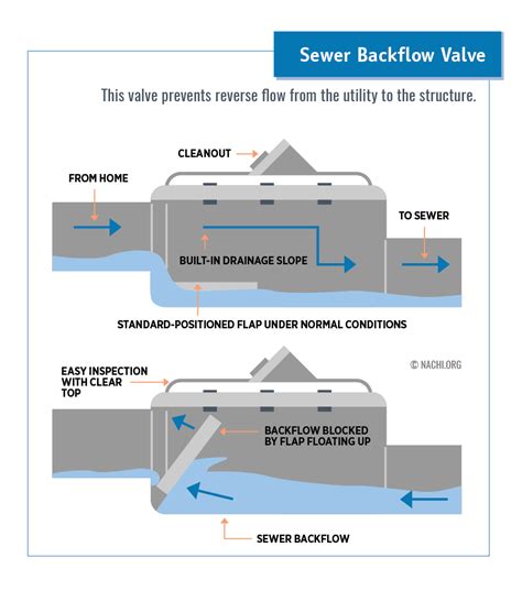 Sewer Backflow Valve - Inspection Gallery - InterNACHI®