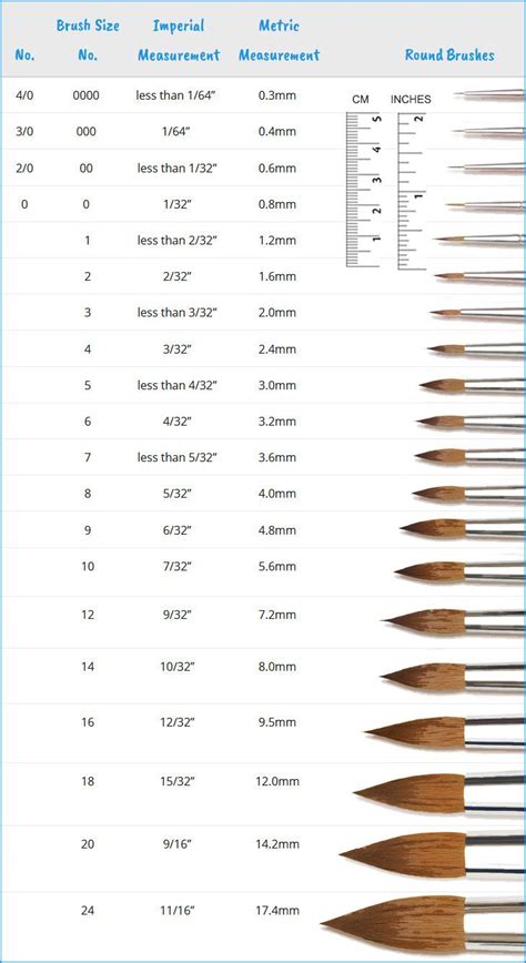 Watercolor Brush Size Chart - Round Brushes | Watercolor brushes, Best ...