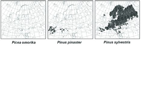 Schemes of the population models used to discuss evolutionary... | Download Scientific Diagram