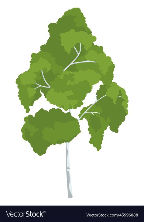 Birch icon green summer tree natural plant Vector Image