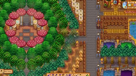 13 Best Stardew Valley Farm Layout Ideas