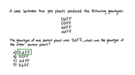 Question Video: Determining the Genotype of a Parent from the Genotypes ...