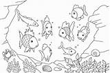 Aquarium Fish Coloring Page  Free Printable Pages For Kids sketch template