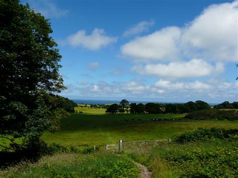 Cindy's Snaps: Sherringham Park in Norfolk, and Baconsthorpe Castle in Norfolk ....