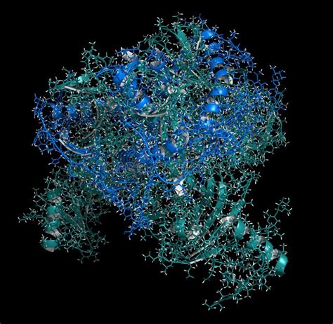 Ebola Virus Glycoprotein GP, Molecular Structure. Occurs As Spikes on ...