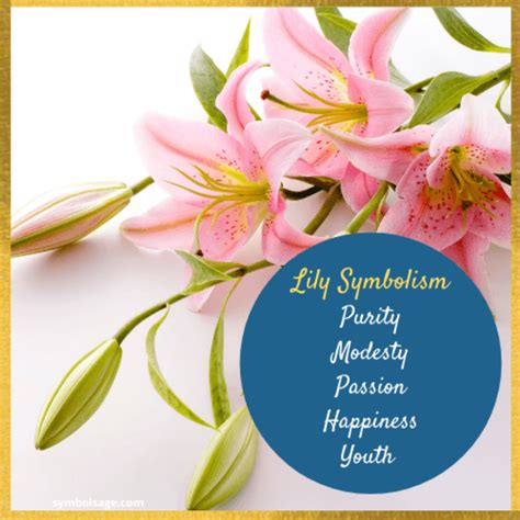 Lily – Symbolism and Meaning - Symbol Sage